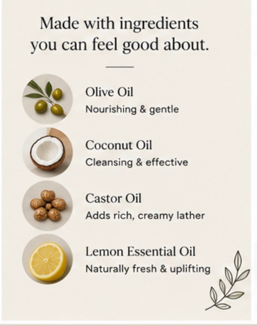 Lemon Grove Solid Dish Soap Set